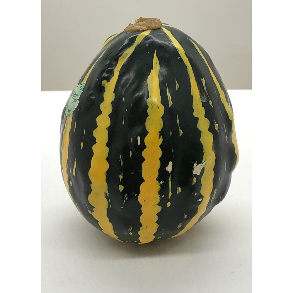 Remo Veggie Shake Hand Percussion Gourd Style Shaker Green Yellow Striped - Picture 9 of 11